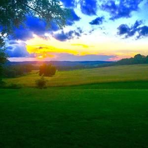 Meet your Posher, Robear